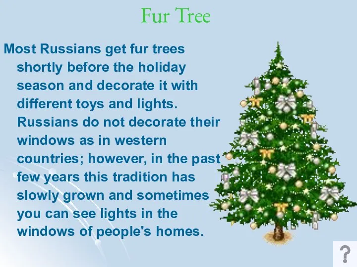 Fur Tree Most Russians get fur trees shortly before the holiday