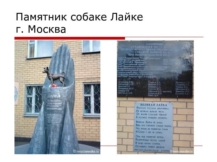 Памятник собаке Лайке г. Москва