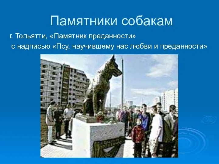 Памятники собакам г. Тольятти, «Памятник преданности» с надписью «Псу, научившему нас любви и преданности»