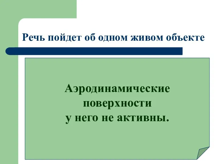 Речь пойдет об одном живом объекте Аэродинамические поверхности у него не активны.