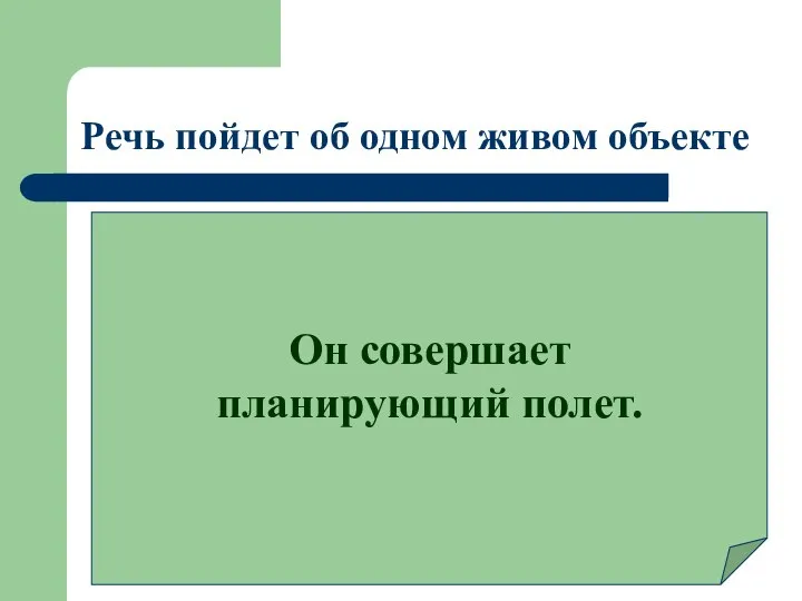 Речь пойдет об одном живом объекте Он совершает планирующий полет.