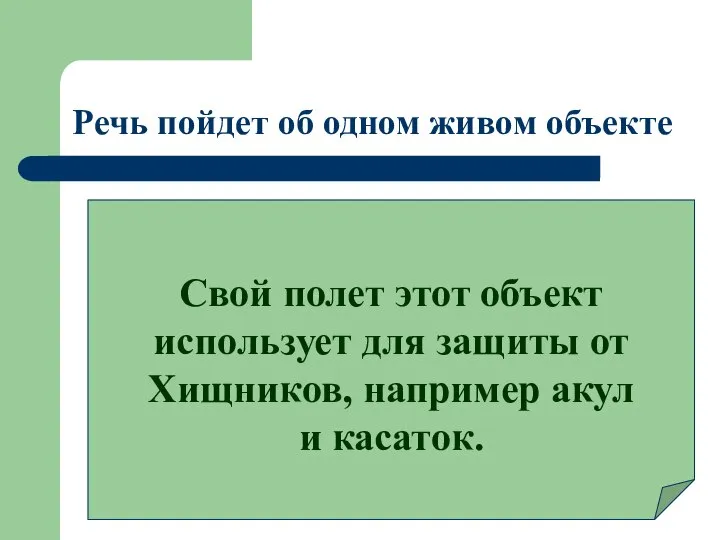 Речь пойдет об одном живом объекте Свой полет этот объект использует