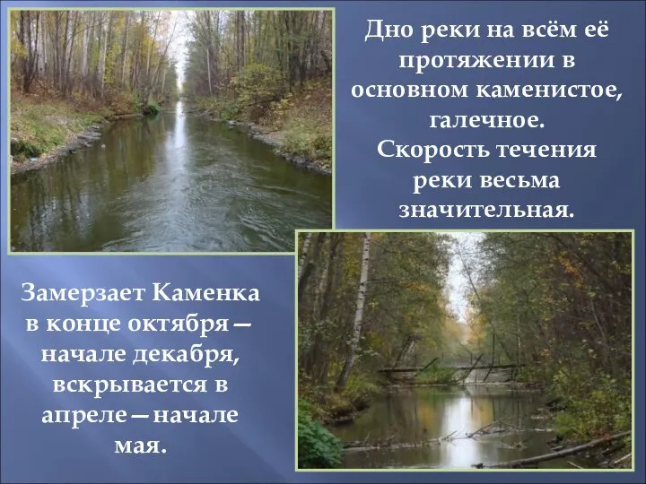 Дно реки на всём её протяжении в основном каменистое, галечное. Скорость