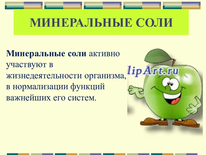 Минеральные соли активно участвуют в жизнедеятельности организма, в нормализации функций важнейших его систем. МИНЕРАЛЬНЫЕ СОЛИ