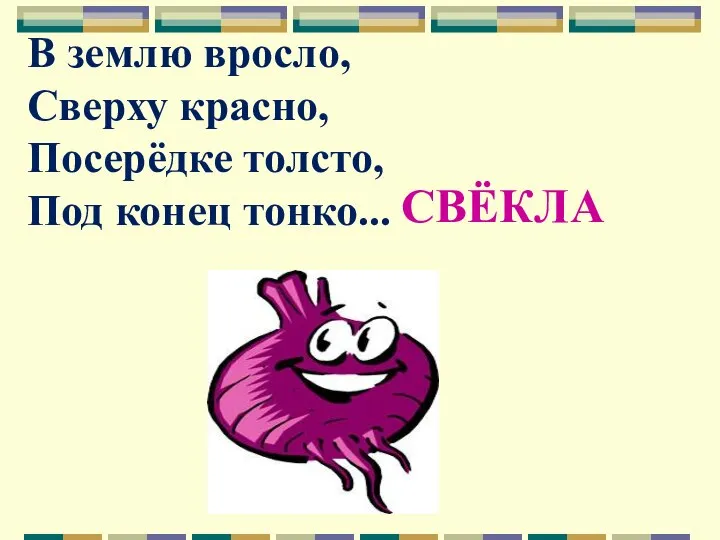 В землю вросло, Сверху красно, Посерёдке толсто, Под конец тонко... СВЁКЛА