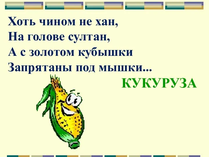 Хоть чином не хан, На голове султан, А с золотом кубышки Запрятаны под мышки... КУКУРУЗА