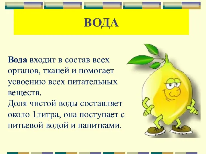 Вода входит в состав всех органов, тканей и помогает усвоению всех