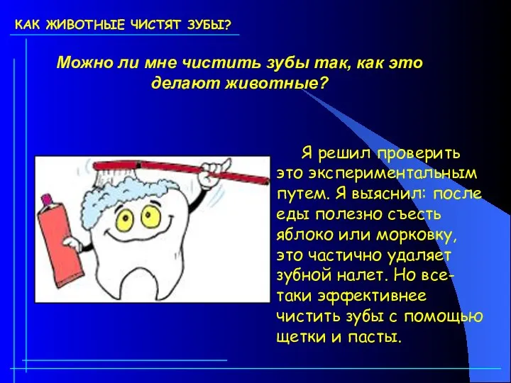 КАК ЖИВОТНЫЕ ЧИСТЯТ ЗУБЫ? Можно ли мне чистить зубы так, как