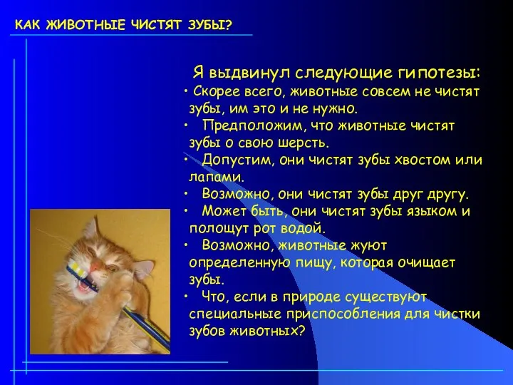 КАК ЖИВОТНЫЕ ЧИСТЯТ ЗУБЫ? Я выдвинул следующие гипотезы: Скорее всего, животные