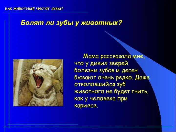 КАК ЖИВОТНЫЕ ЧИСТЯТ ЗУБЫ? Болят ли зубы у животных? Мама рассказала