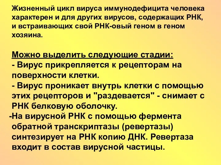 Жизненный цикл вируса иммунодефицита человека характерен и для других вирусов, содержащих