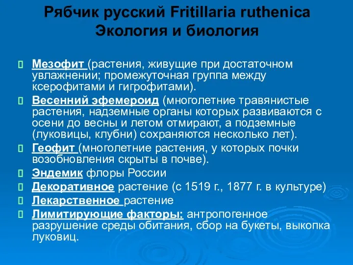 Рябчик русский Fritillaria ruthenica Экология и биология Мезофит (растения, живущие при