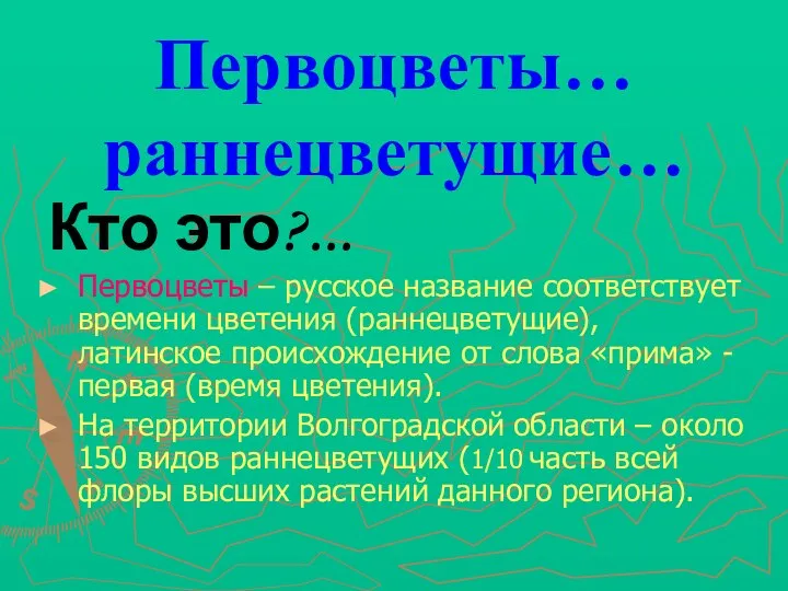 Первоцветы… раннецветущие… Кто это?... Первоцветы – русское название соответствует времени цветения