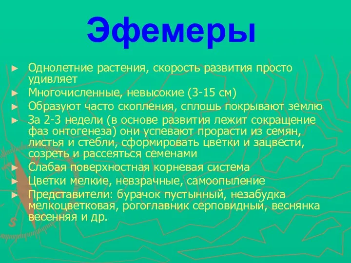 Эфемеры Однолетние растения, скорость развития просто удивляет Многочисленные, невысокие (3-15 см)