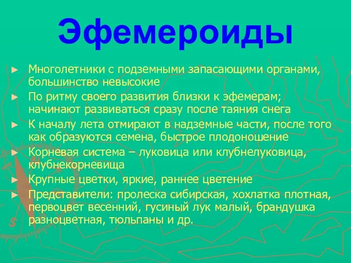 Эфемероиды Многолетники с подземными запасающими органами, большинство невысокие По ритму своего