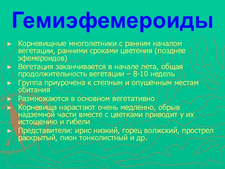 Гемиэфемероиды Корневищные многолетники с ранним началом вегетации, ранними сроками цветения (позднее