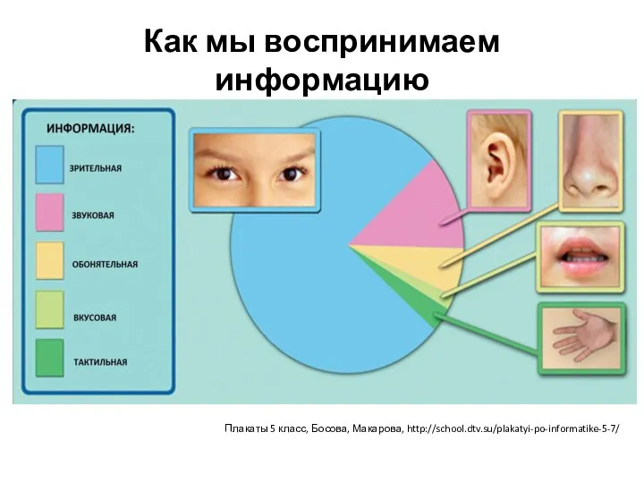 Как мы воспринимаем информацию Плакаты 5 класс, Босова, Макарова, http://school.dtv.su/plakatyi-po-informatike-5-7/