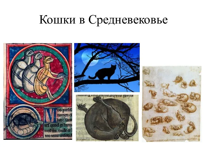 Кошки в Средневековье