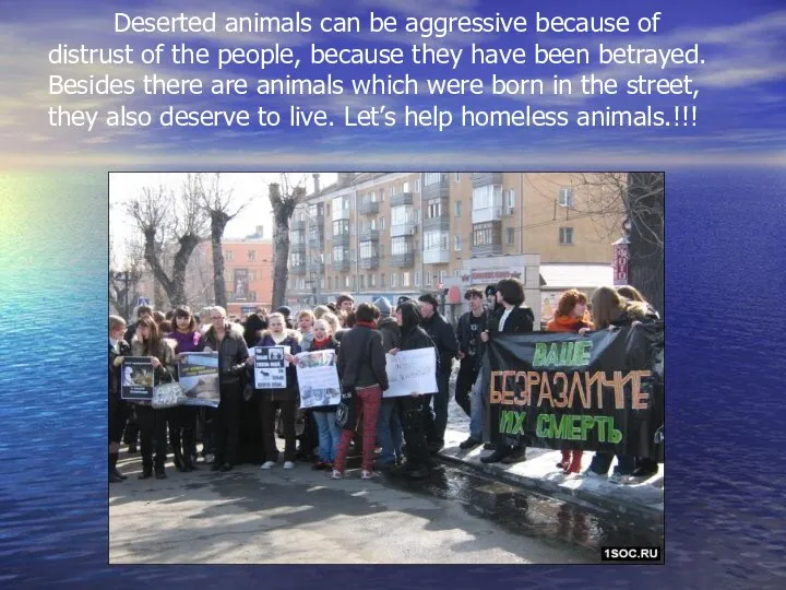 Deserted animals can be aggressive because of distrust of the people,