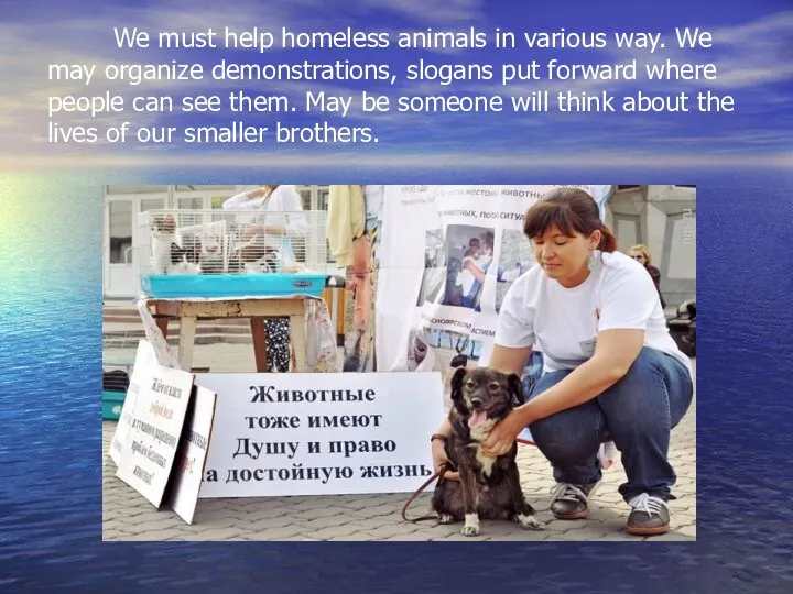 We must help homeless animals in various way. We may organize