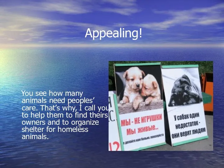 Appealing! You see how many animals need peoples’ care. That’s why,