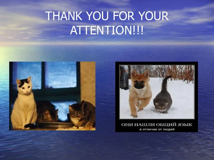 THANK YOU FOR YOUR ATTENTION!!!