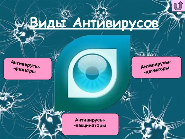 Виды Антивирусов Антивирусы- -фильтры Антивирусы- -детекторы Антивирусы- -вакцинаторы