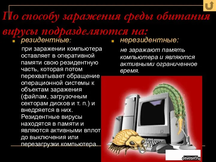 По способу заражения среды обитания вирусы подразделяются на: резидентные: при заражении