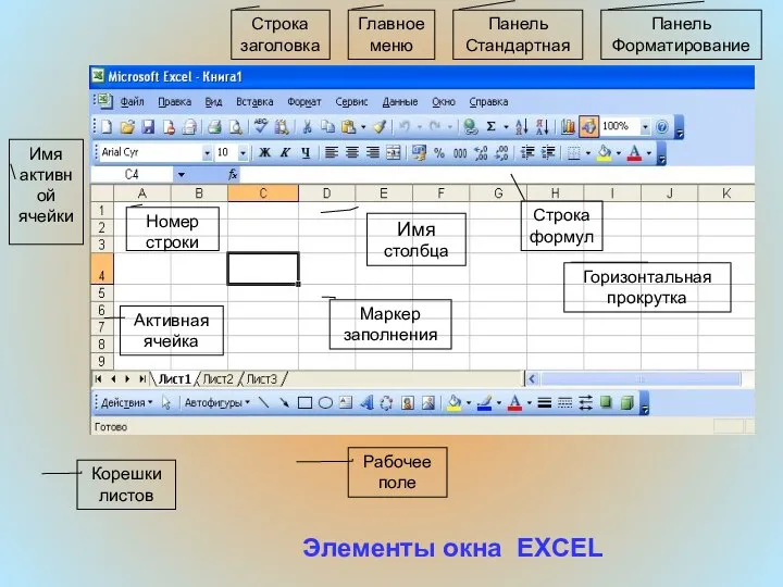 Корешки листов Активная ячейка Маркер заполнения Горизонтальная прокрутка Имя столбца Строка