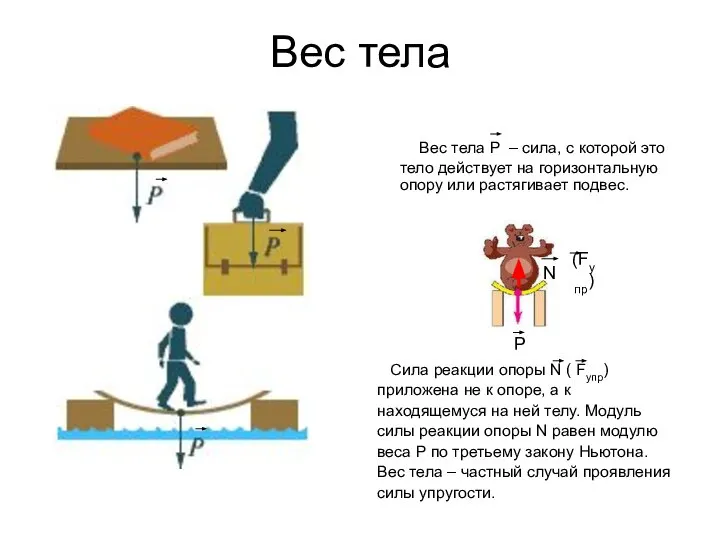 Вес тела Вес тела P – сила, с которой это тело