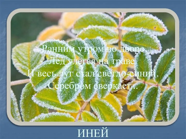 ИНЕЙ Ранним утром во дворе Лед улегся на траве. И весь луг стал светло-синий. Серебром сверкает...