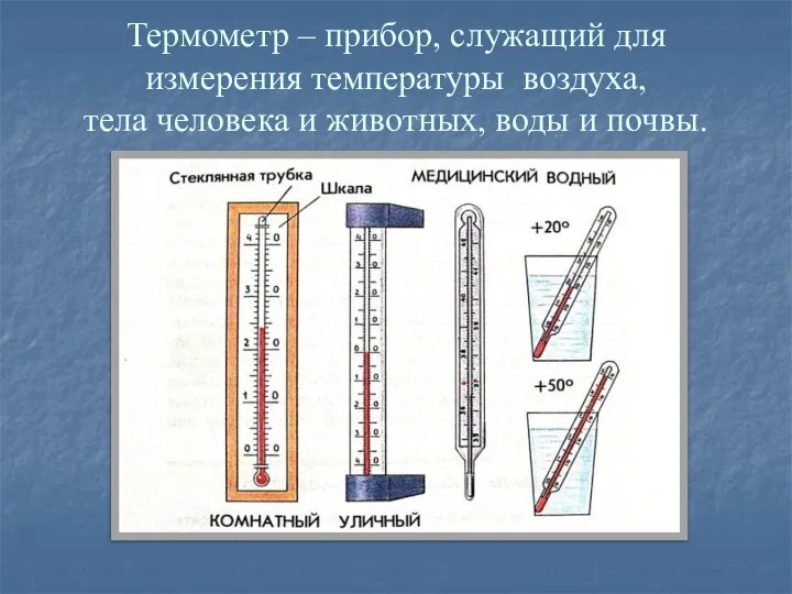 Термометр – прибор, служащий для измерения температуры воздуха, тела человека и животных, воды и почвы.