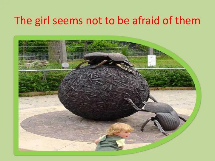 The girl seems not to be afraid of them
