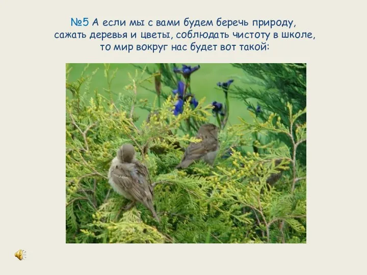 №5 А если мы с вами будем беречь природу, сажать деревья