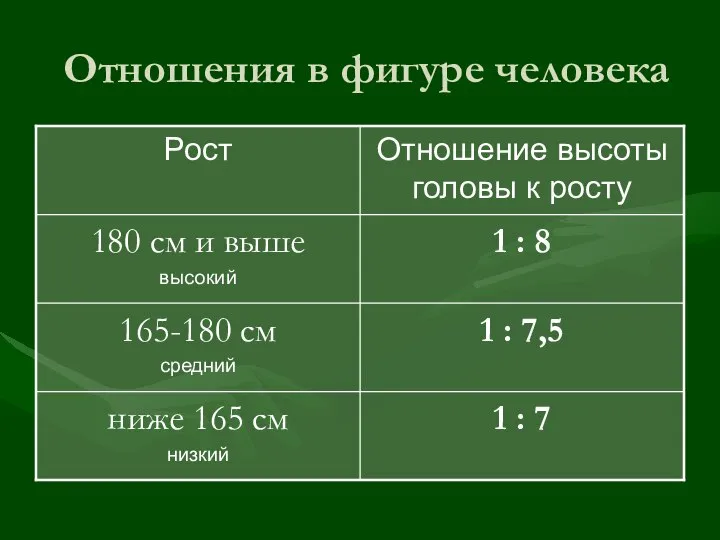 Отношения в фигуре человека