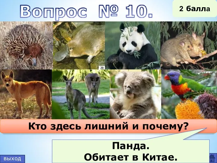 выход 2 балла Кто здесь лишний и почему? Панда. Обитает в Китае.