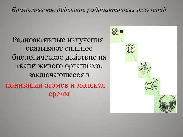 Радиоактивные излучения оказывают сильное биологическое действие на ткани живого организма, заключающееся