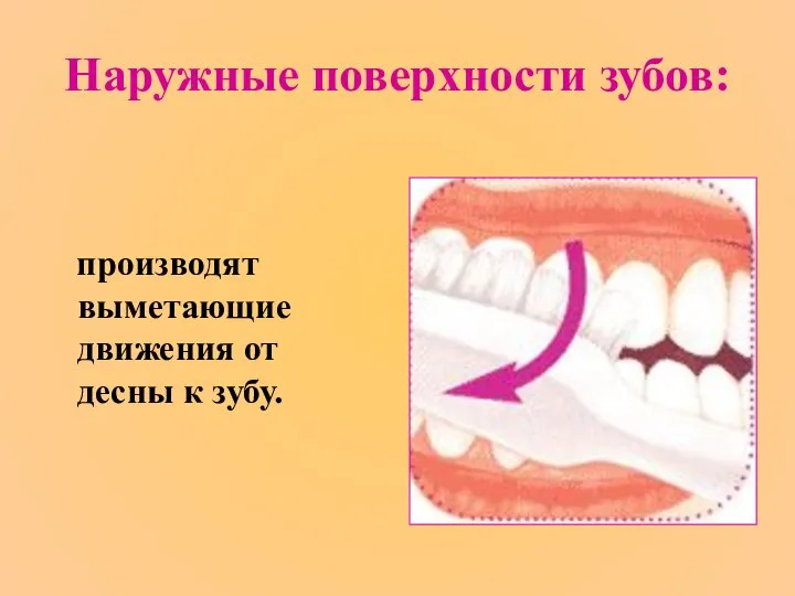 Наружные поверхности зубов: производят выметающие движения от десны к зубу.