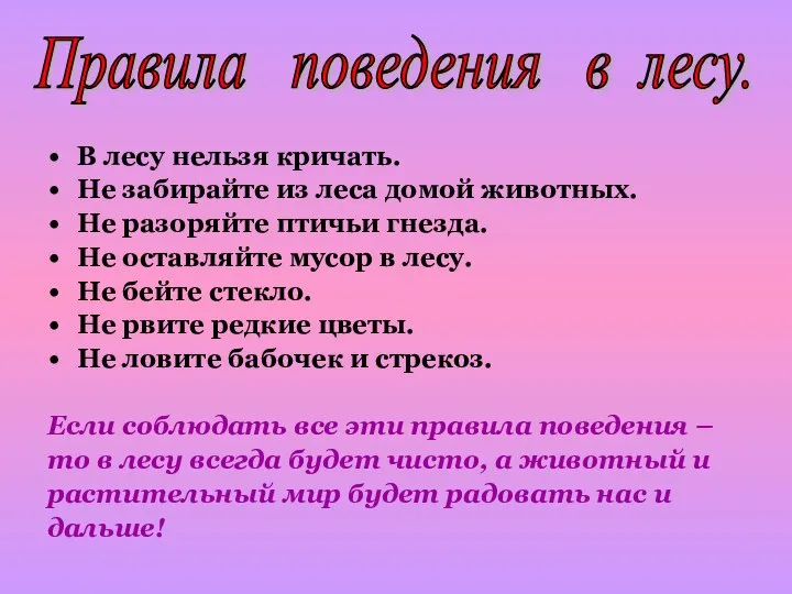 В лесу нельзя кричать. Не забирайте из леса домой животных. Не