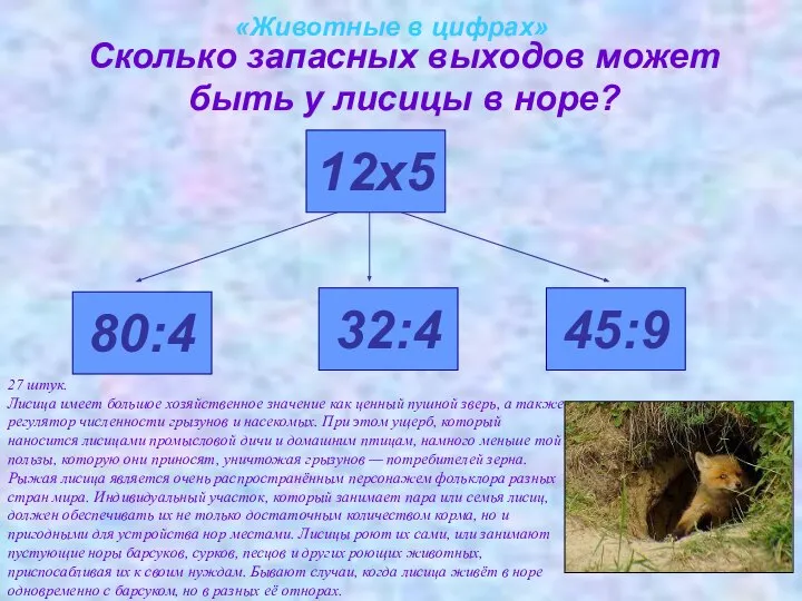 «Животные в цифрах» Сколько запасных выходов может быть у лисицы в