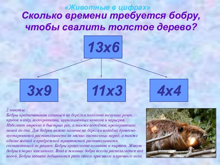 «Животные в цифрах» Сколько времени требуется бобру, чтобы свалить толстое дерево?