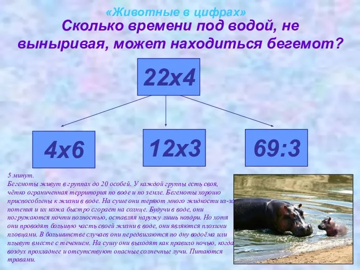 «Животные в цифрах» Сколько времени под водой, не выныривая, может находиться