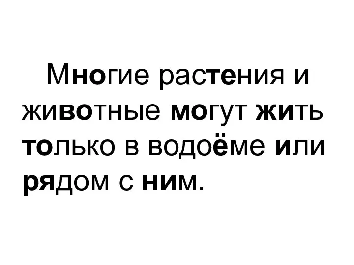 Многие растения и животные могут жить только в водоёме или рядом с ним.