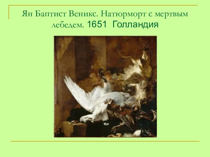 Ян Баптист Веникс. Натюрморт с мертвым лебедем. 1651 Голландия