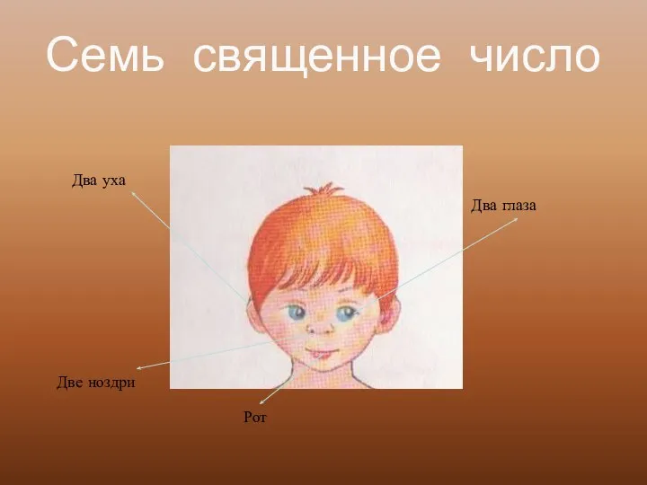 Семь священное число Два уха Два глаза Рот Две ноздри