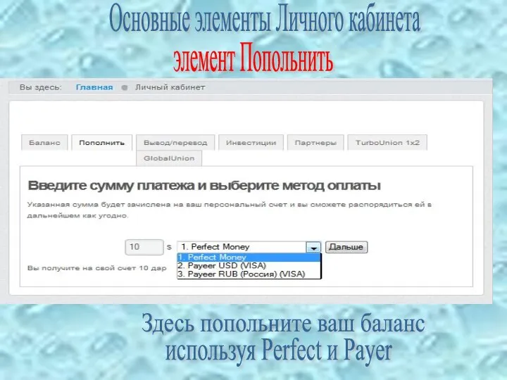 Здесь попольните ваш баланс используя Perfect и Payer Основные элементы Личного кабинета элемент Попольнить