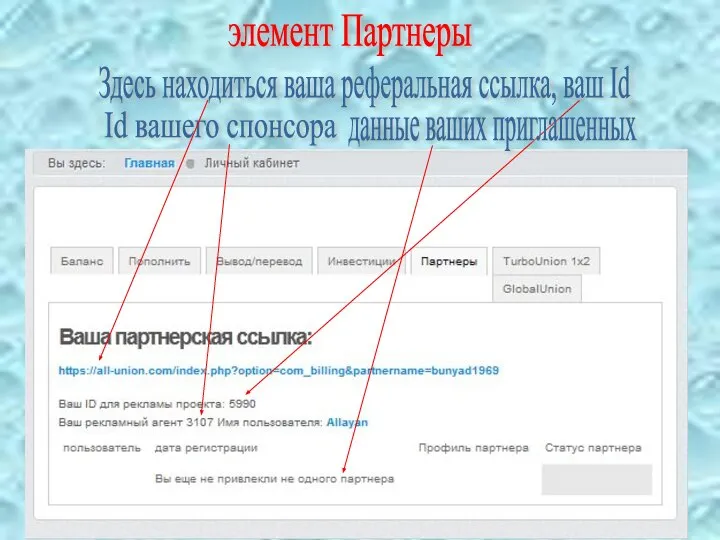 Здесь находиться ваша реферальная ссылка, ваш Id Id вашего спонсора данные ваших приглашенных элемент Партнеры