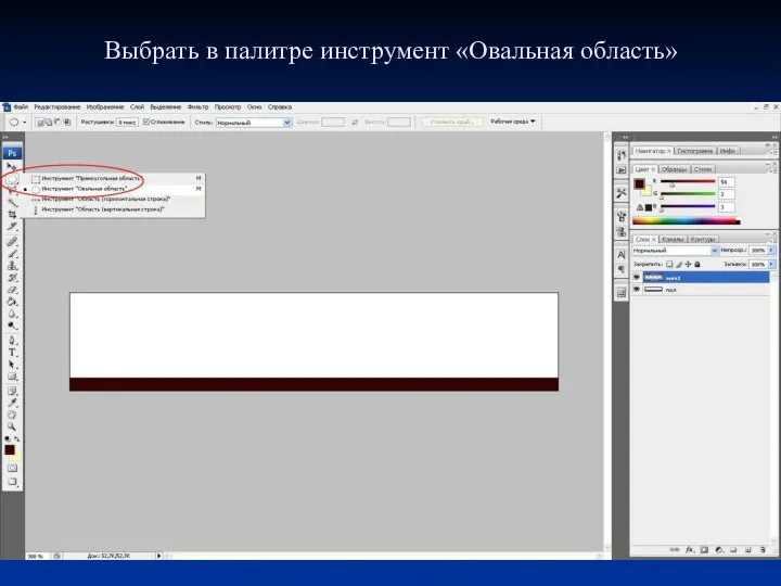 Выбрать в палитре инструмент «Овальная область»