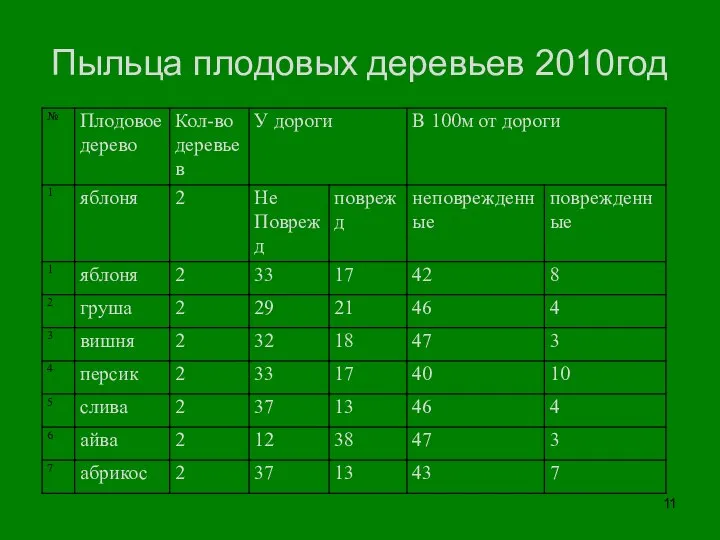 Пыльца плодовых деревьев 2010год