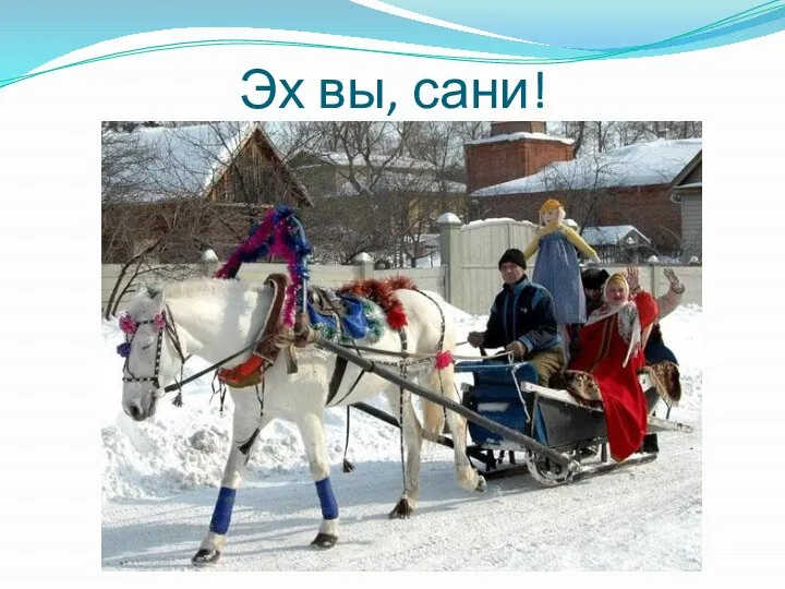 Эх вы, сани!